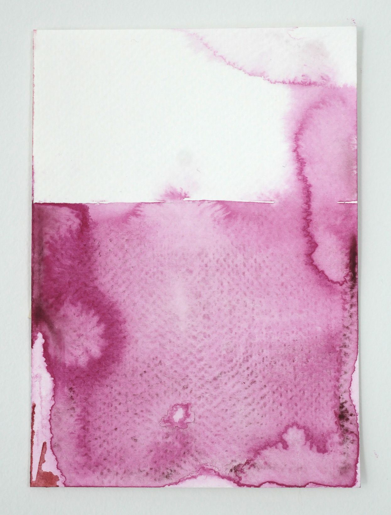 QuinacridoneMagenta 2023-III