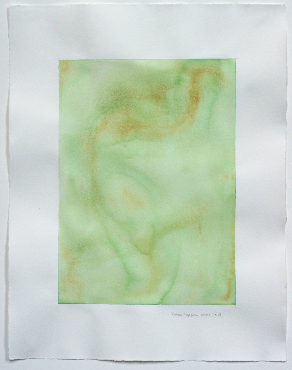 Kleur in eenvoud: Vlakken