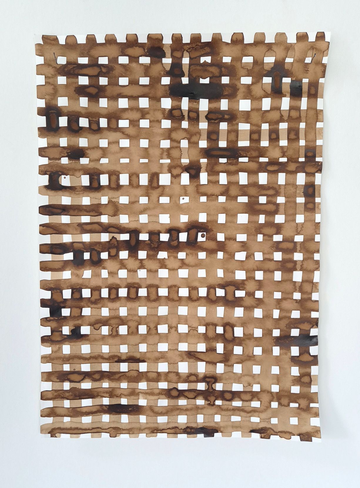 Afbeelding Walnoteninkt-2025-V