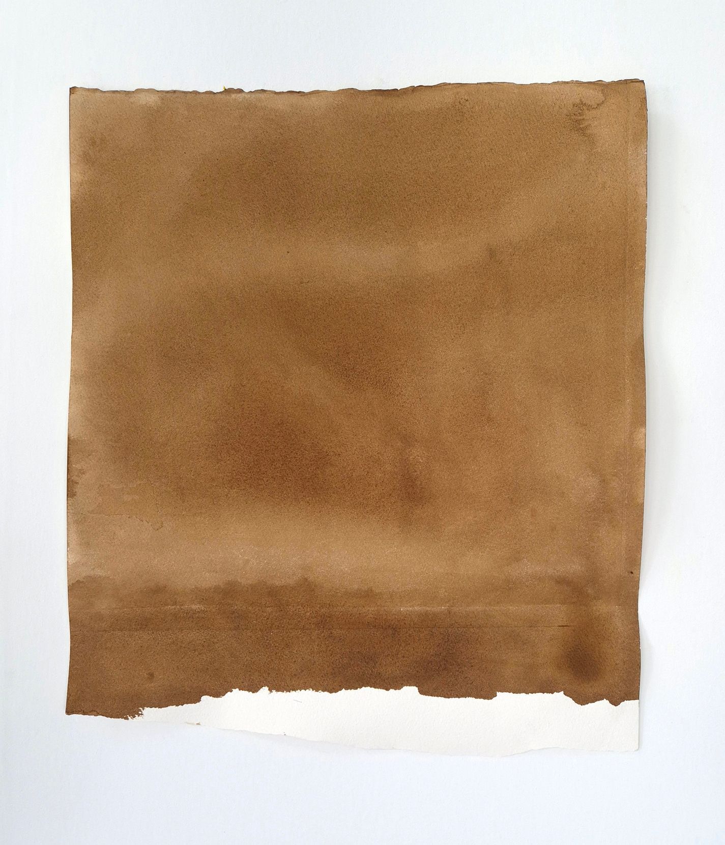 Afbeelding Walnoteninkt-2025-X