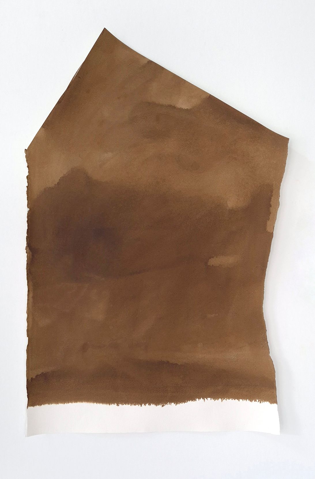 Afbeelding Walnoteninkt-2025-XI