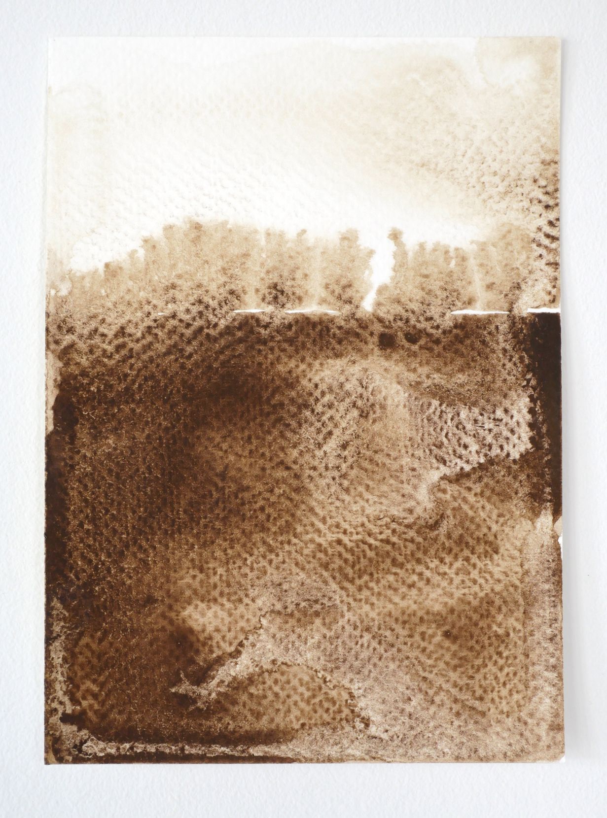 SickleriteGenuine 2024-II