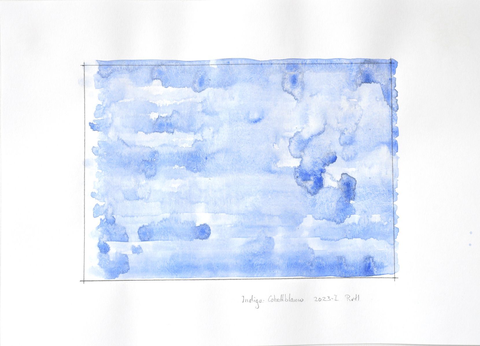 Indigo-CobaltBlauw-2023-I