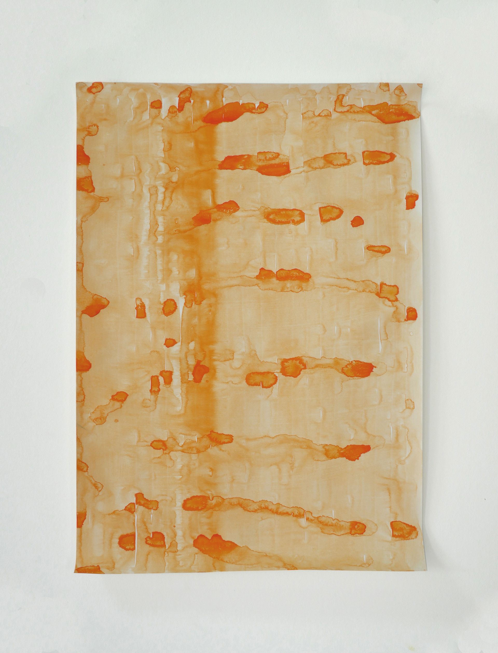 CadmiumVrijOranje 2023-IV