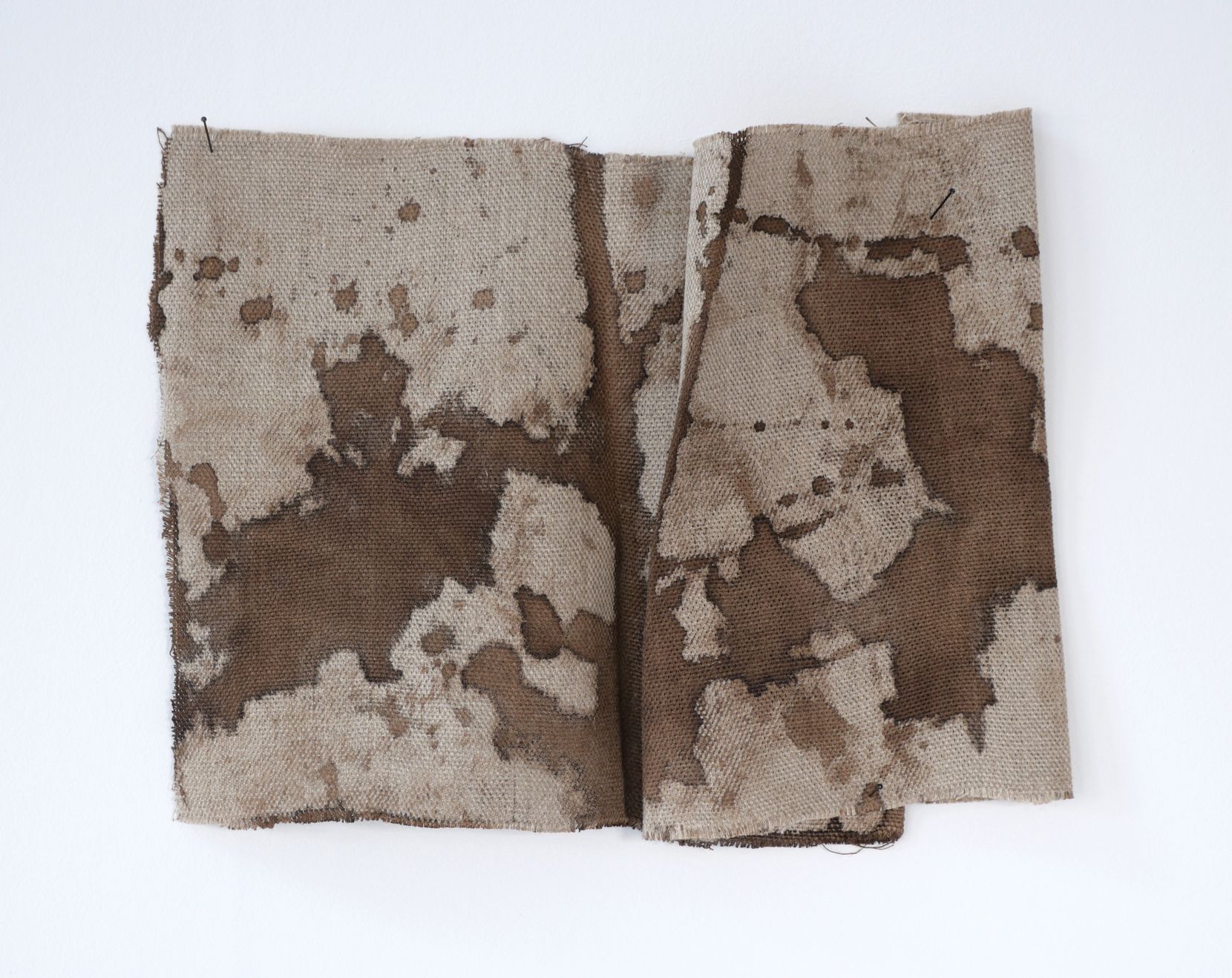 Afbeelding van Walnoteninkt 2025-LI