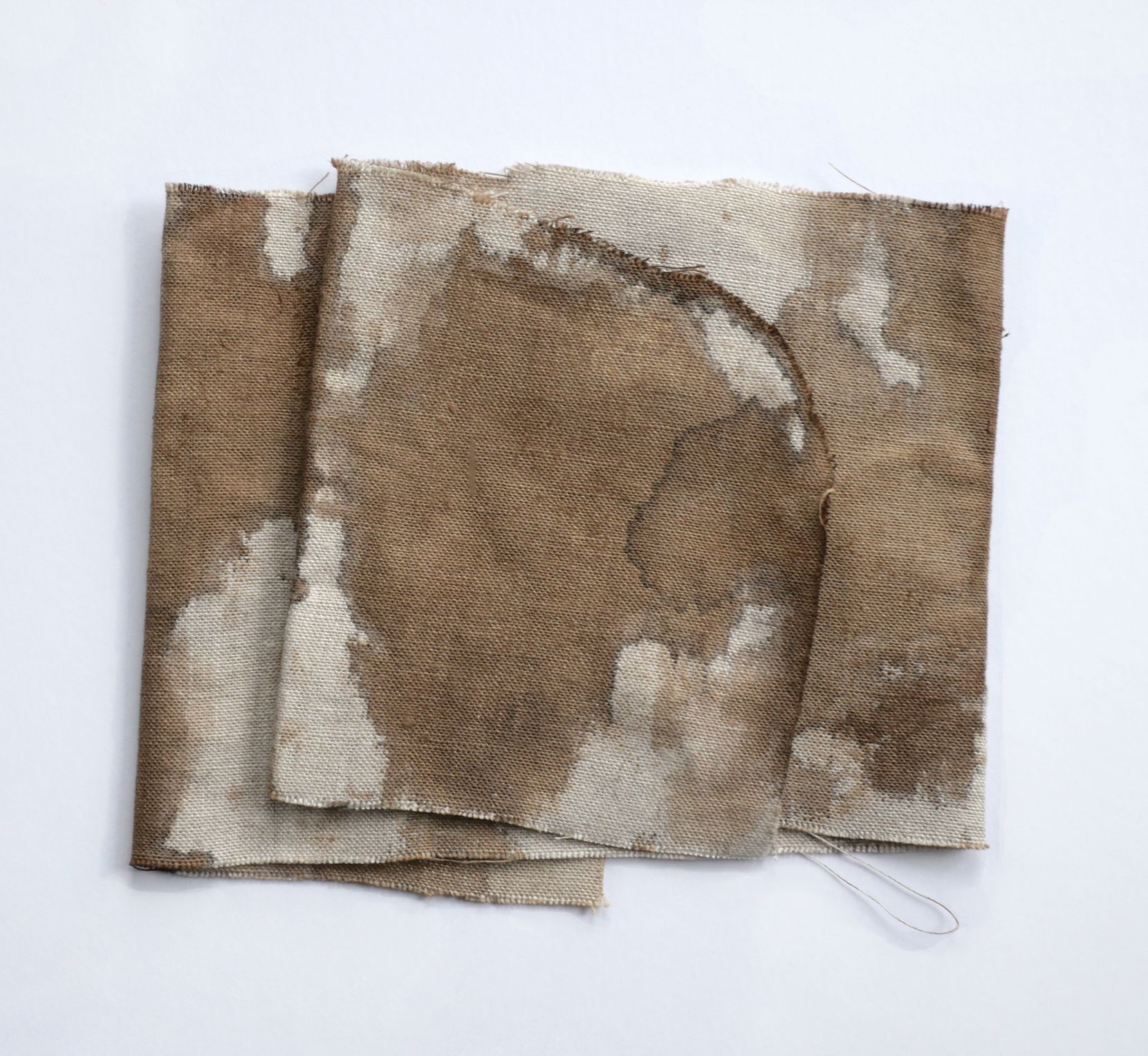 Afbeelding van de aquarel Walnoteninkt 2025-LV