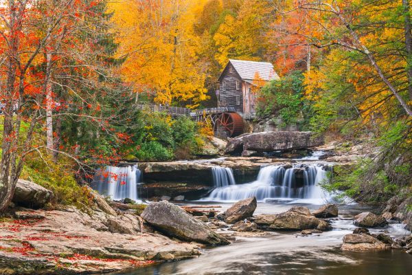 A waterfall in the middle of a forest with a water mill in the background.