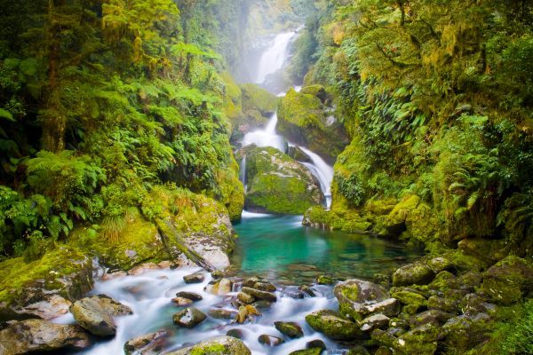 A waterfall in the middle of a forest with a river running through it.