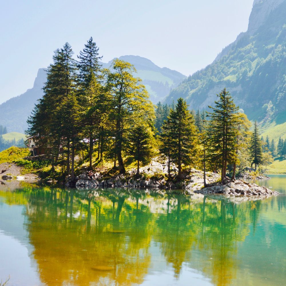 A small island with trees on it is in the middle of a lake surrounded by mountains.