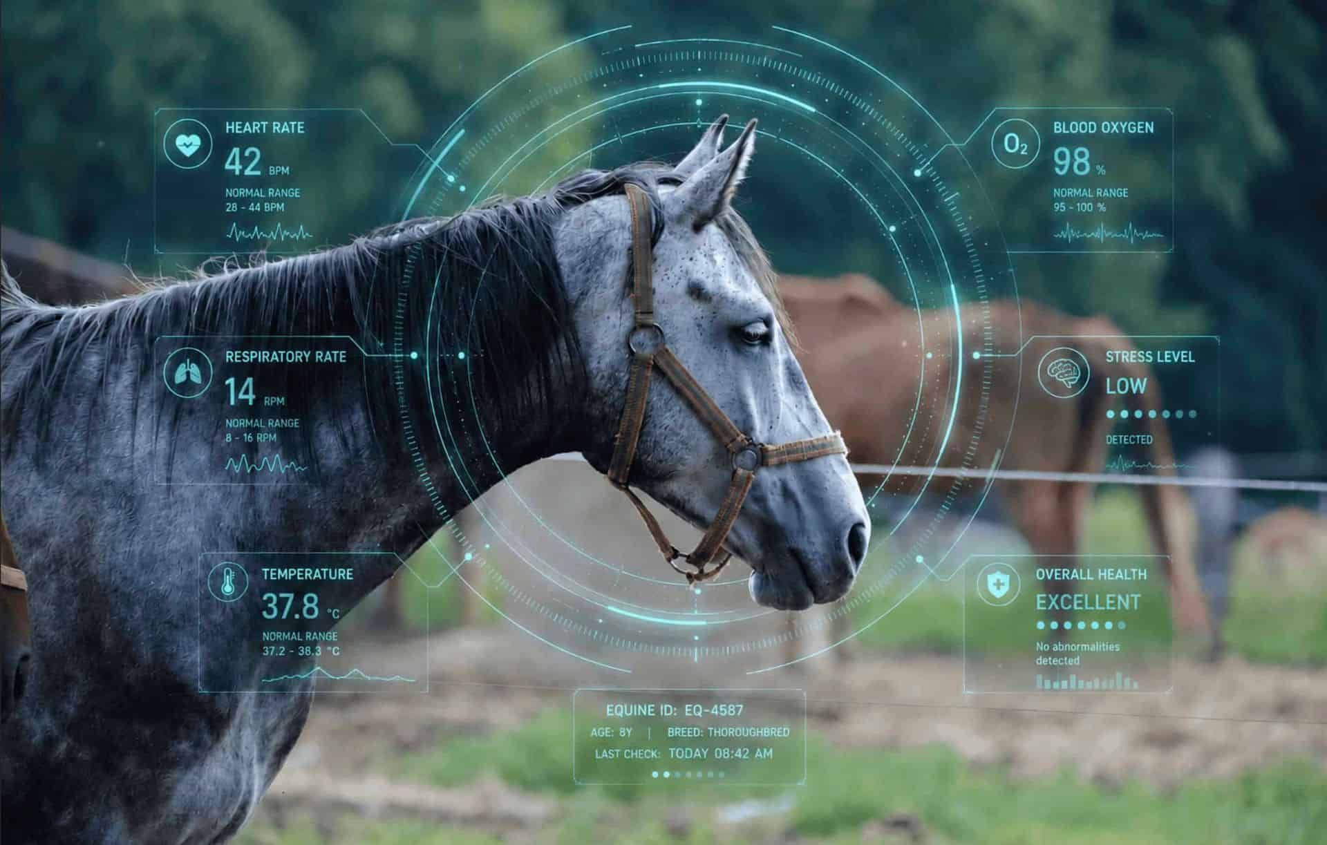 Gray horse in a field, overlaid with health data graphics