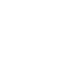 stellar tiling group square logo