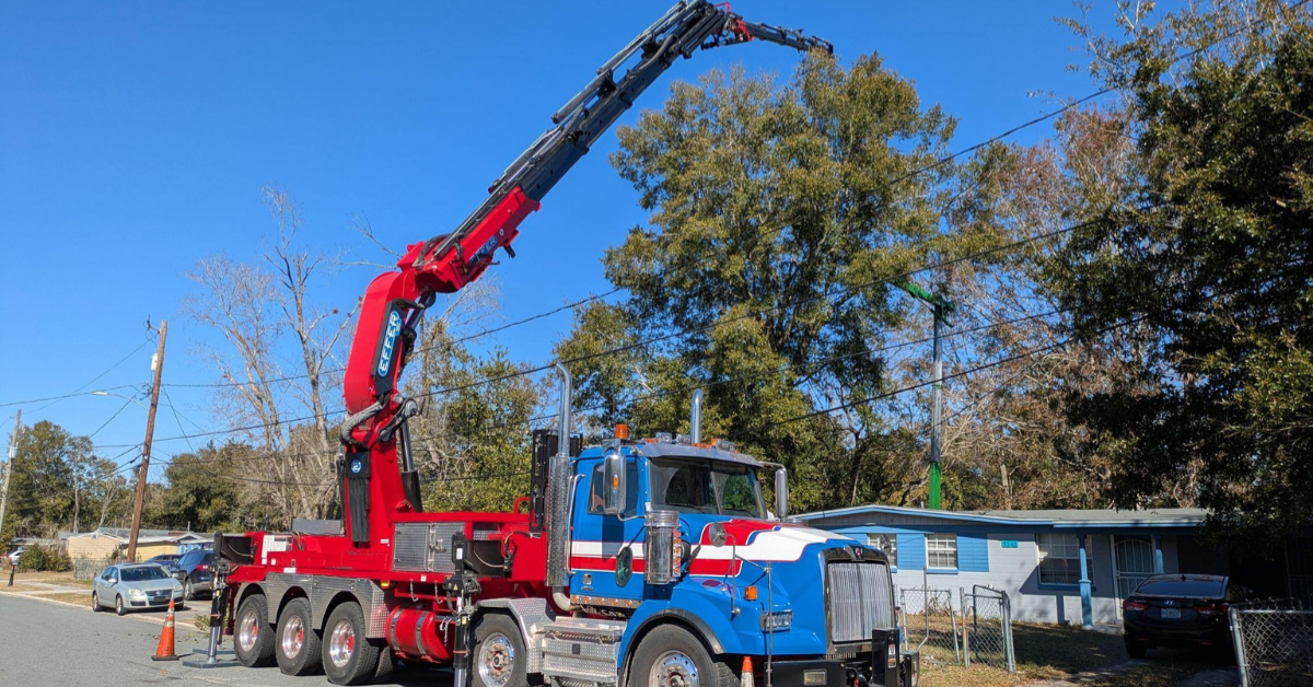 Jacksonville's Tree Trimming Experts