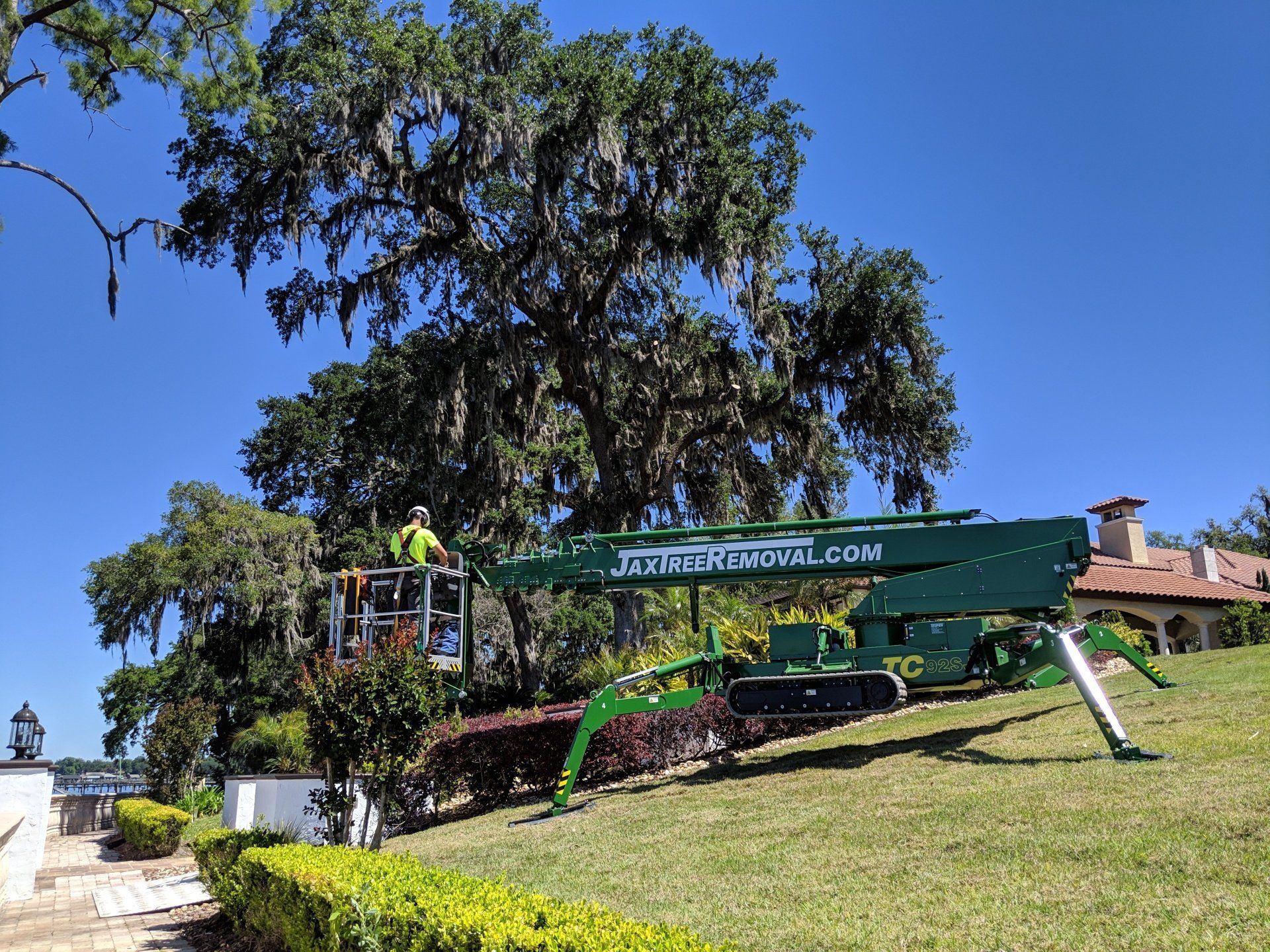 Tree Trimming Service Jacksonville