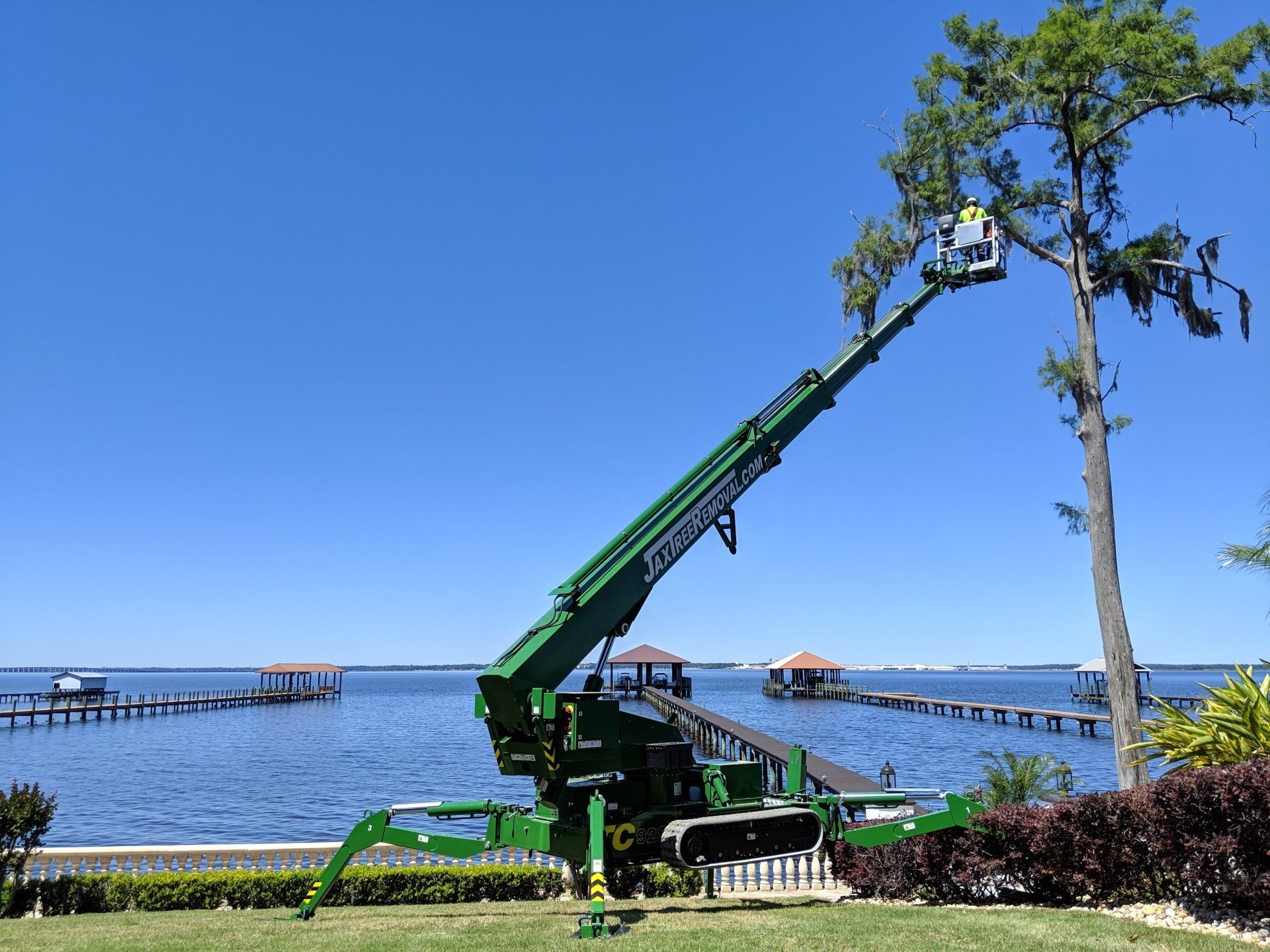 Tree Trimming Jacksonville