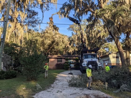 Tree trimming crew with crane near a house, trimming branches.
