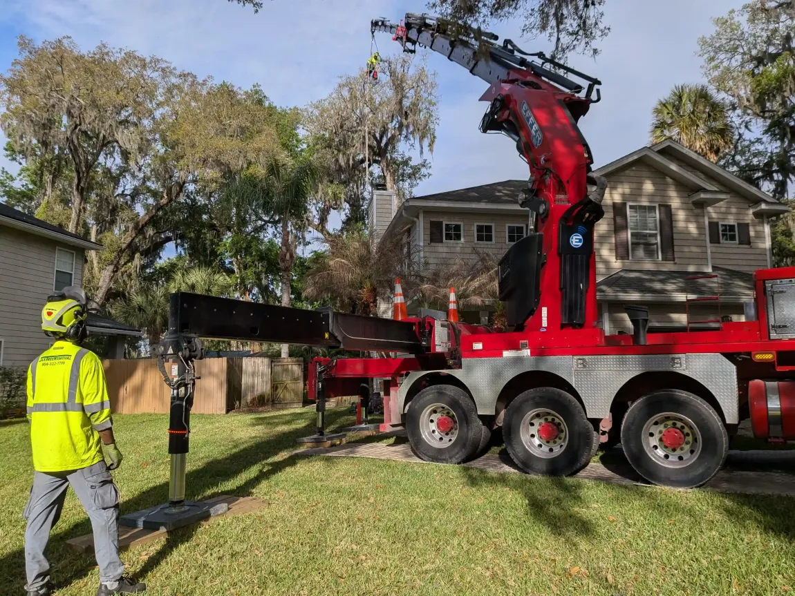 Crane Service Tree Removal Service