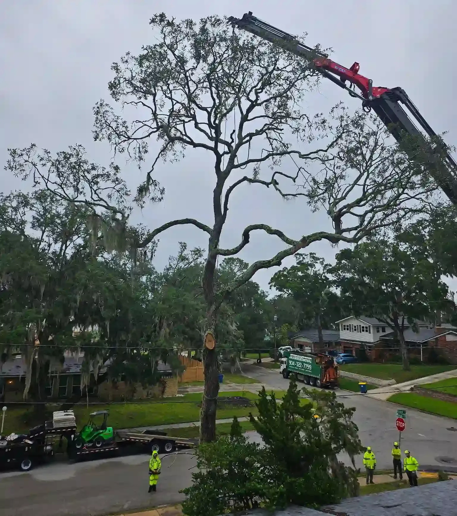 Emergency Tree Removal Near Me