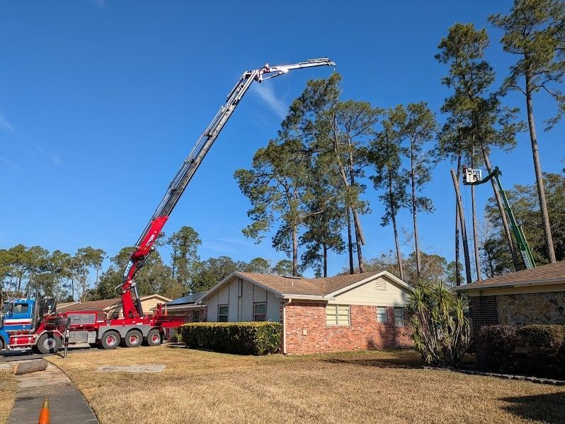 Jacksonville Tree Removal