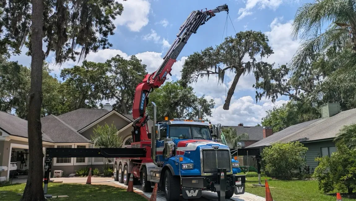 Tree Removal Jacksonville