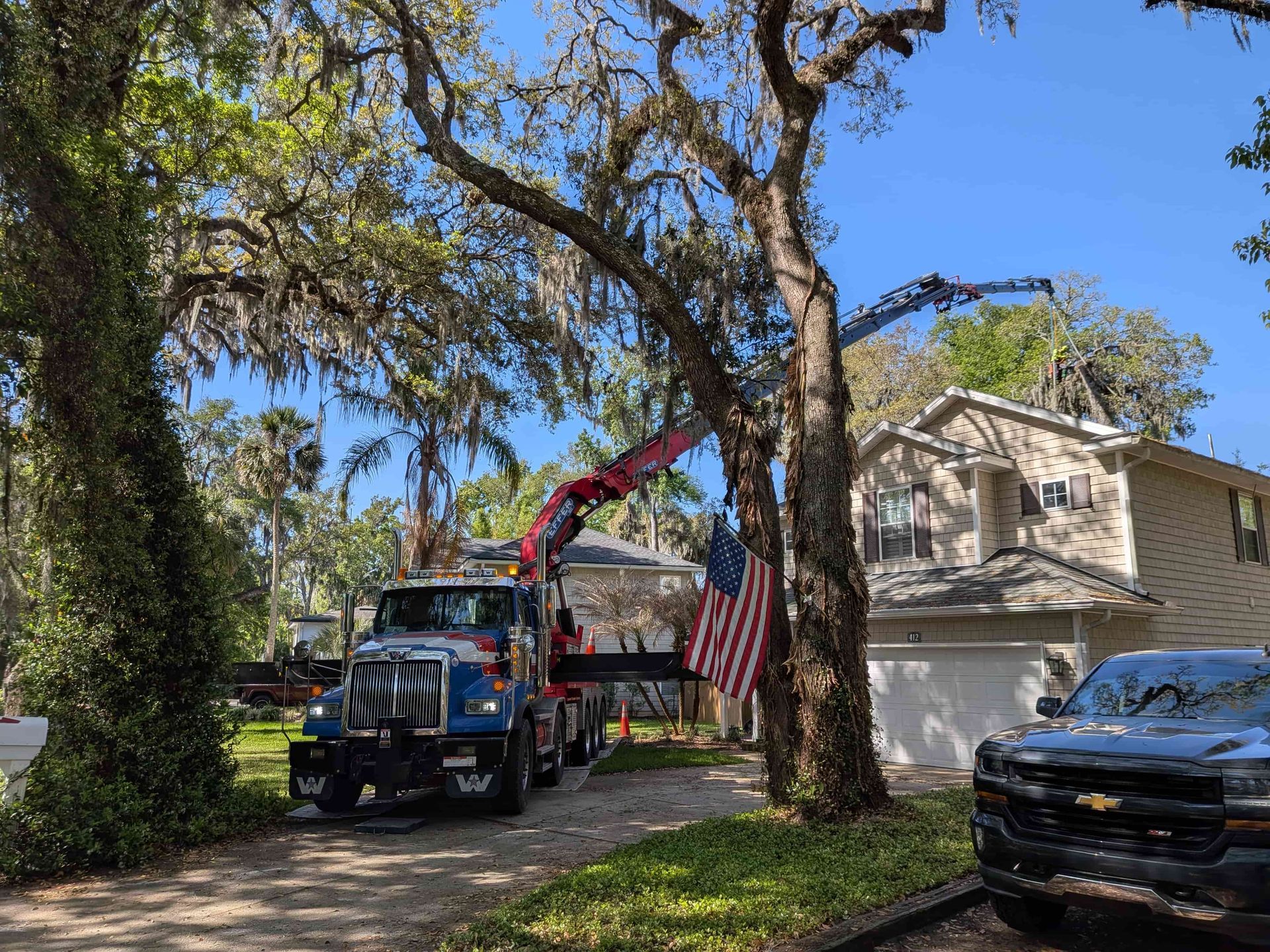 Tree removal from backyard in Jacksonville FL by Jax Tree Removal