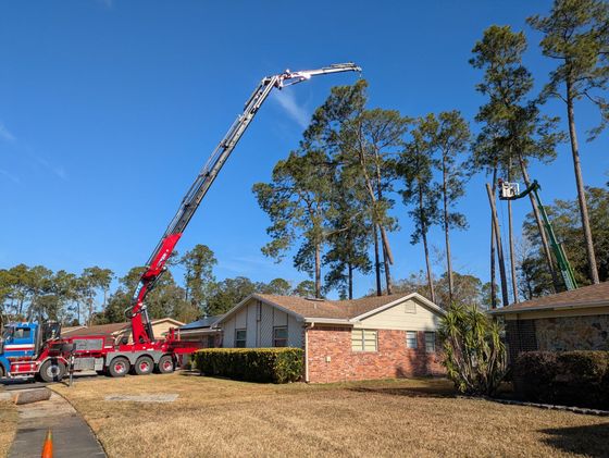 Red and blue crane trimming tall tree branches near residential houses on a sunny day.