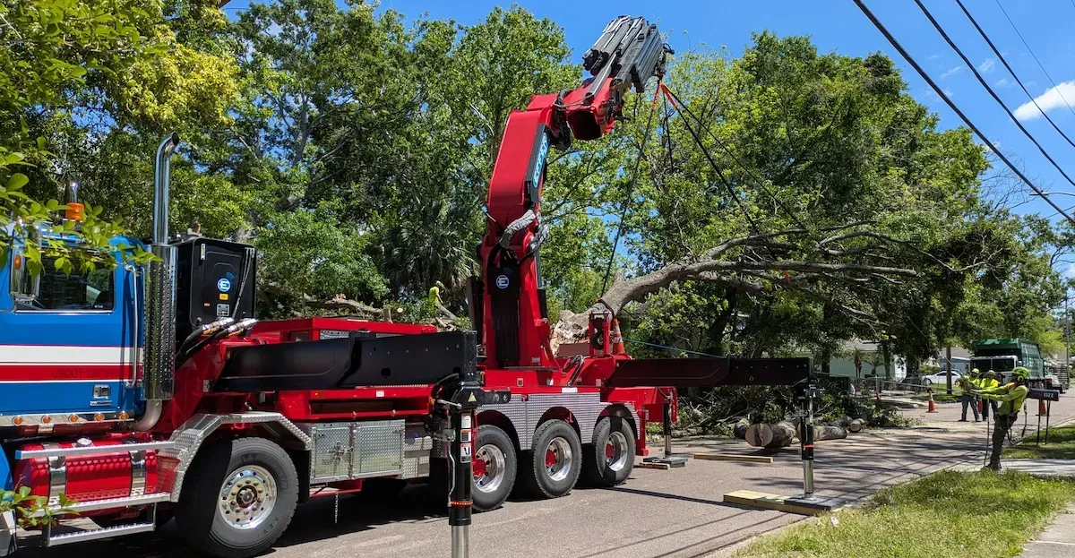 Emergency Tree Removal Near Me