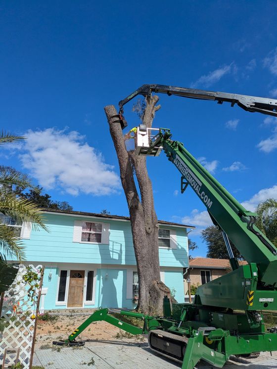 Crane Service Tree Removal