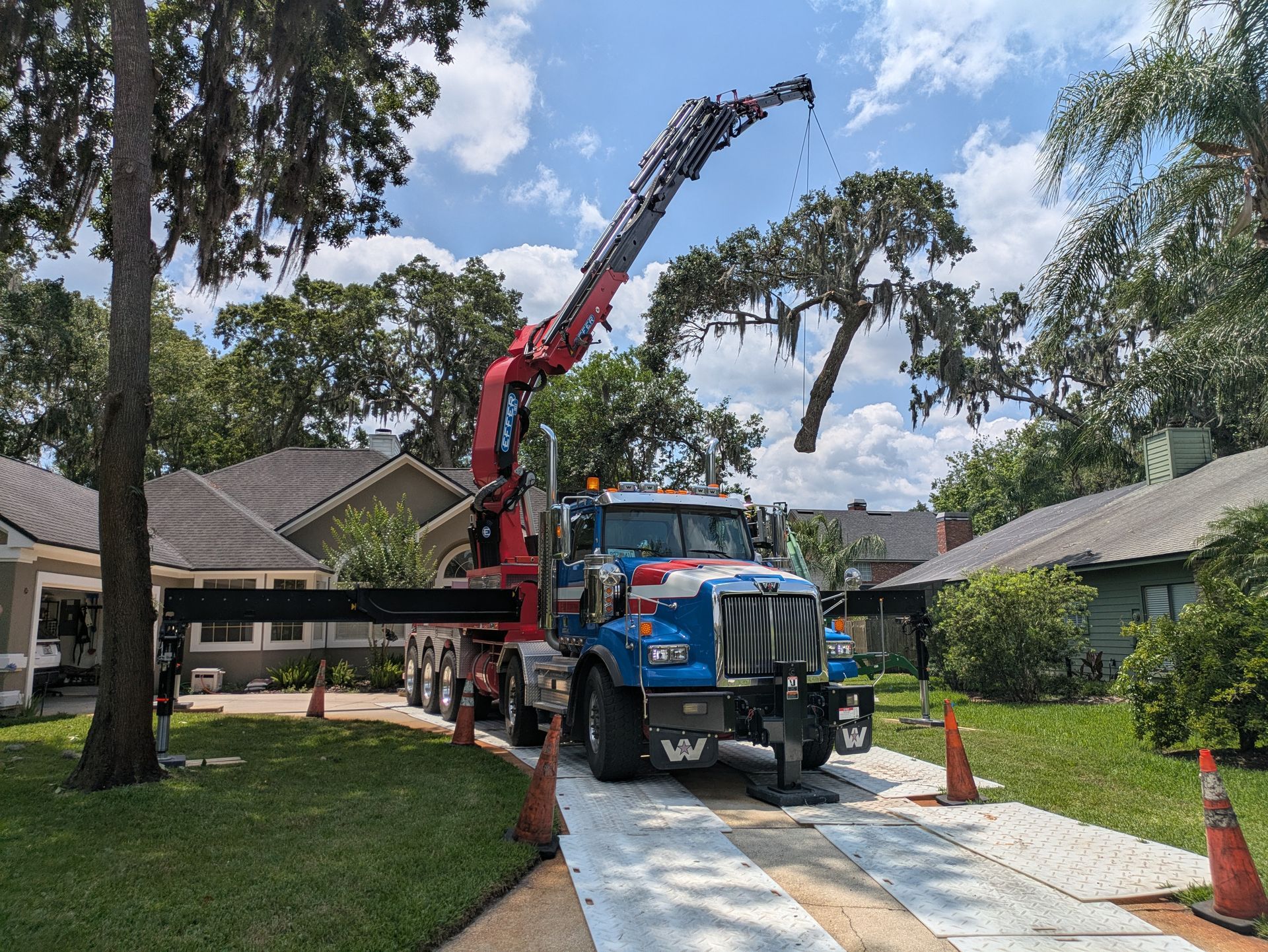 Crane Service Tree Removal Service