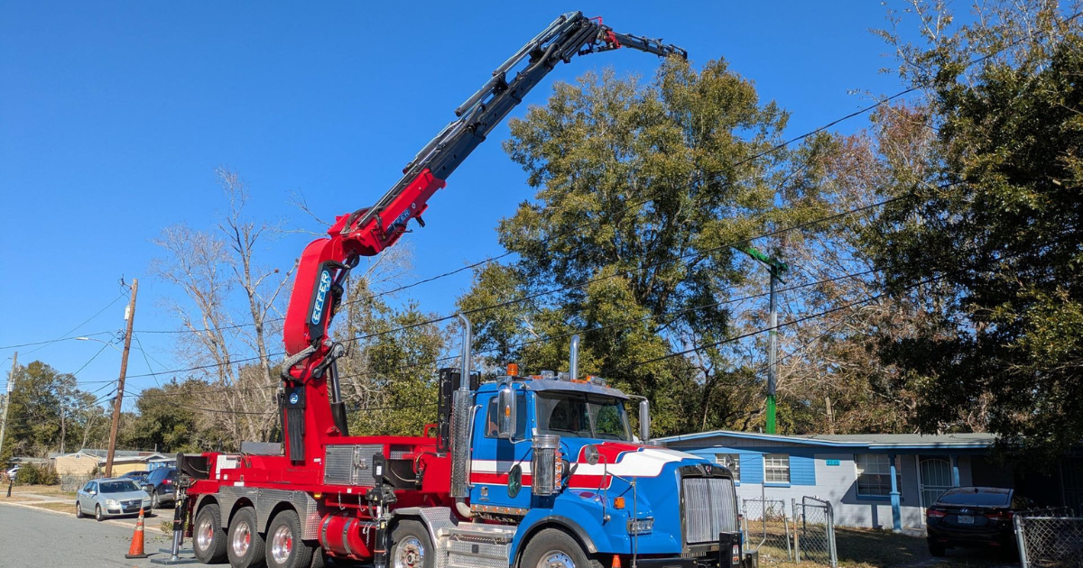 Tree Cutting Service Jacksonville FL