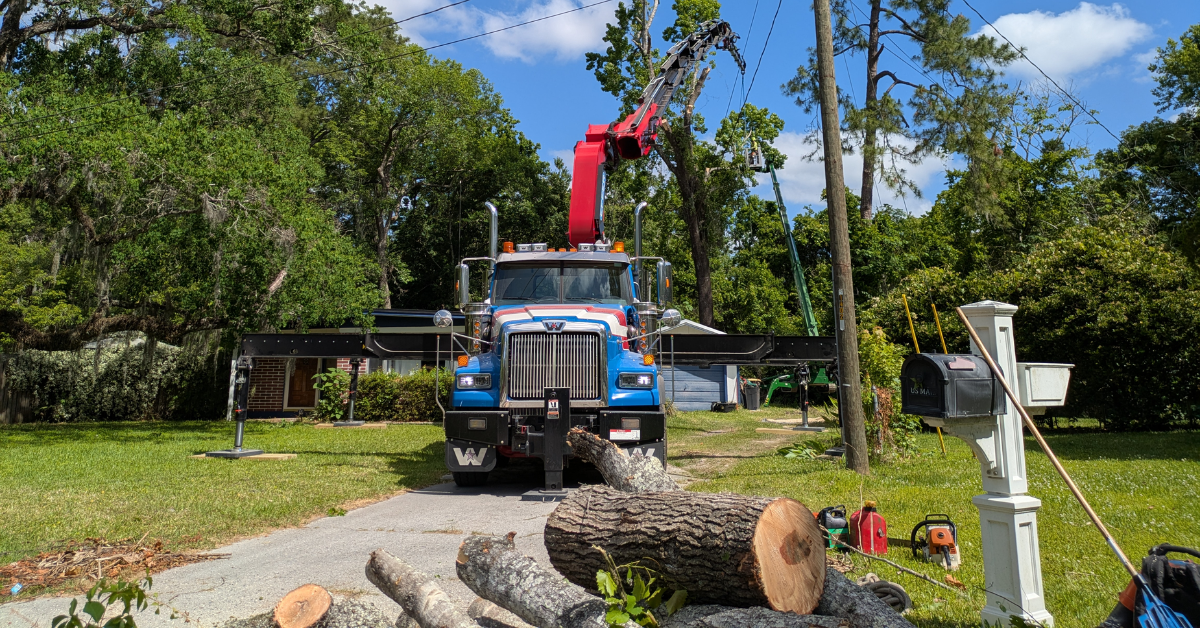 Tree Cutting Service Jacksonville FL