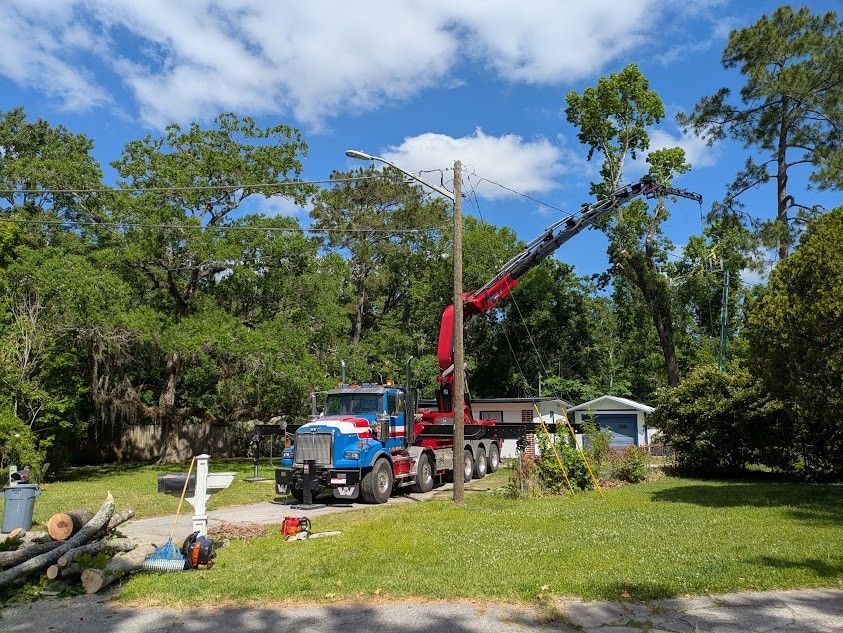 Tree Maintenance Jacksonville