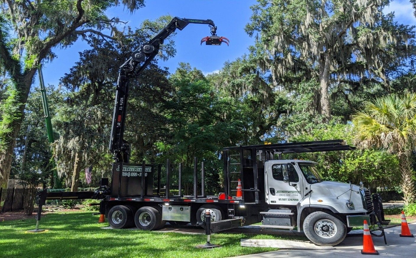 Tree Removal Service Jacksonville