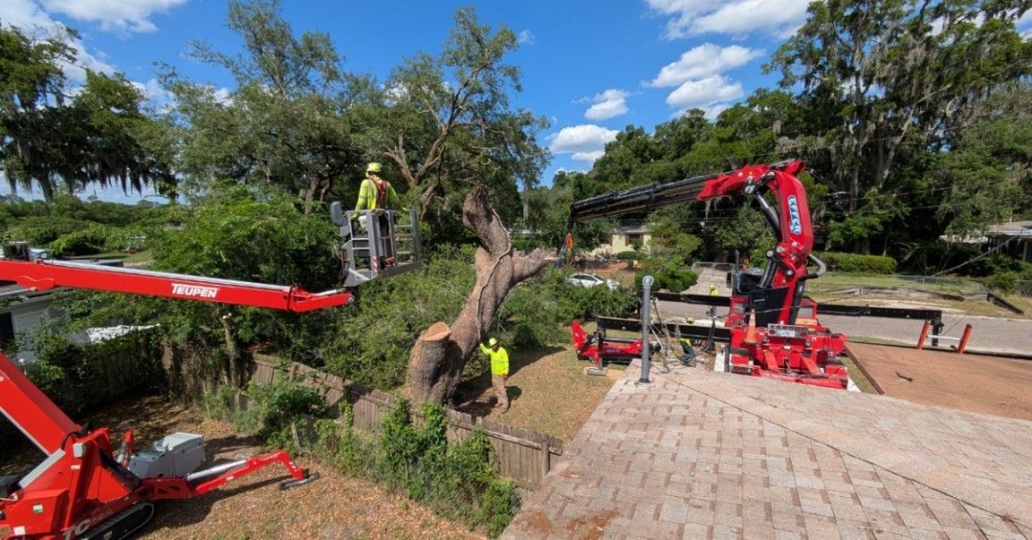 Tree Trimming Jacksonville, FL