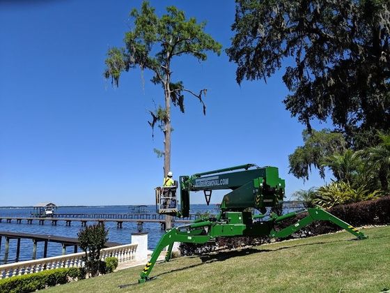 Tree Trimming Service Jacksonville FL