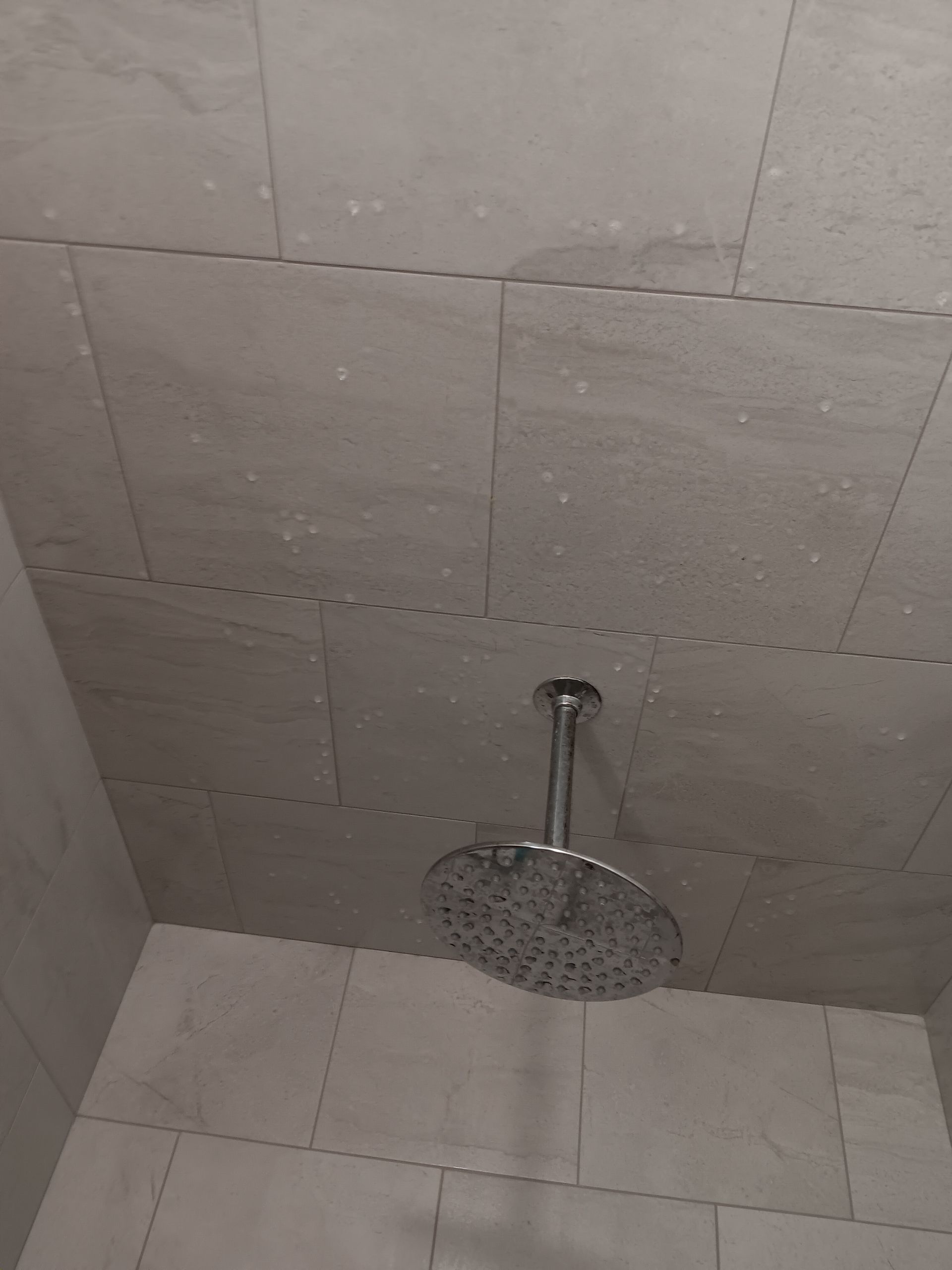 A shower head is hanging from the ceiling of a bathroom.