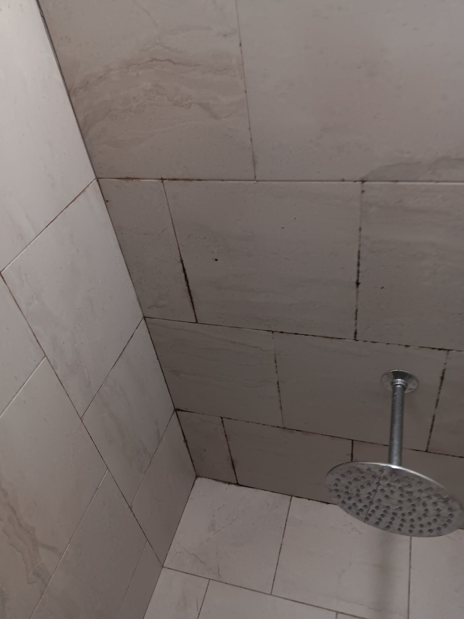 A shower head is hanging from the ceiling in a bathroom