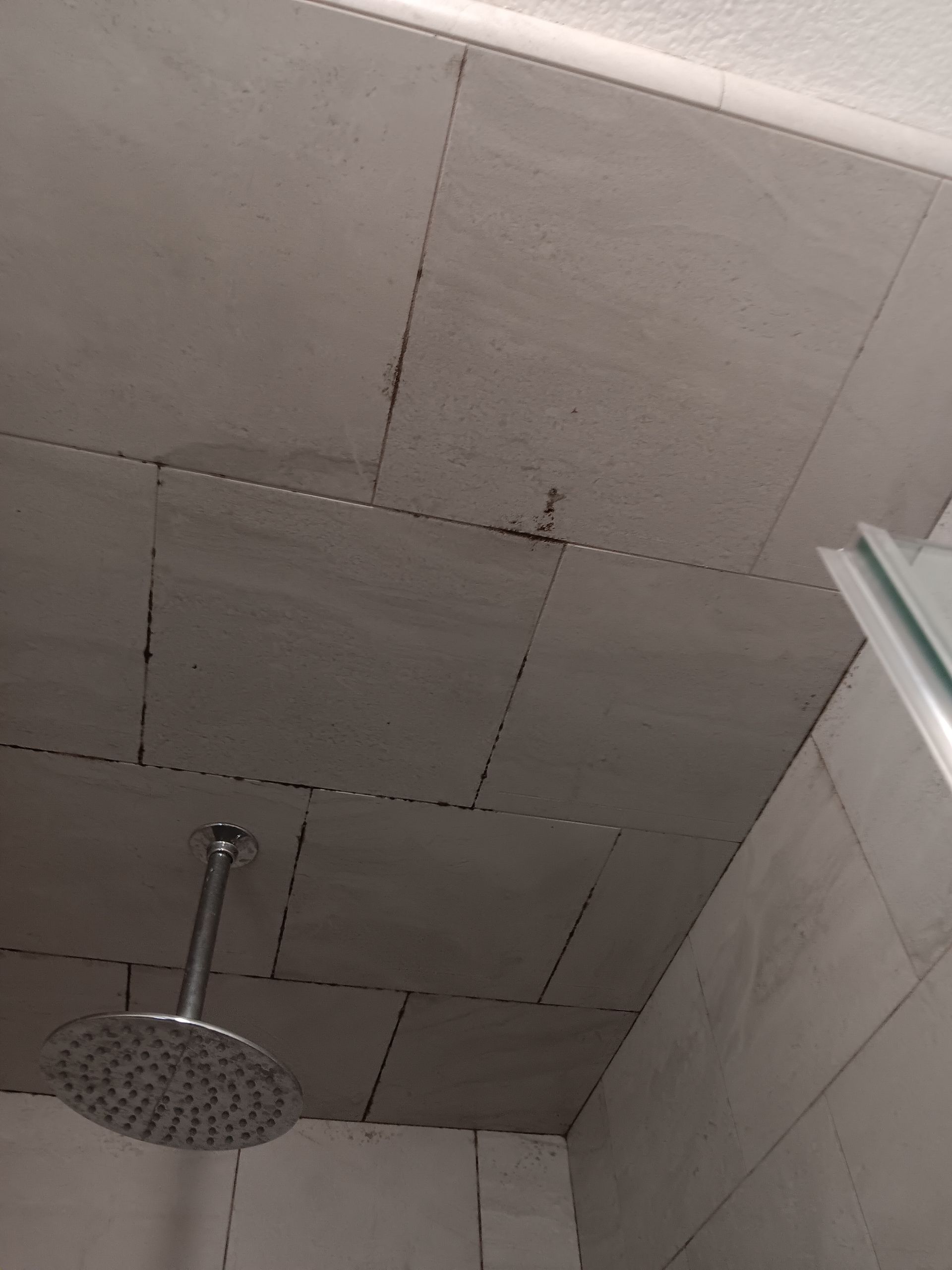 A shower head is hanging from the ceiling of a bathroom.