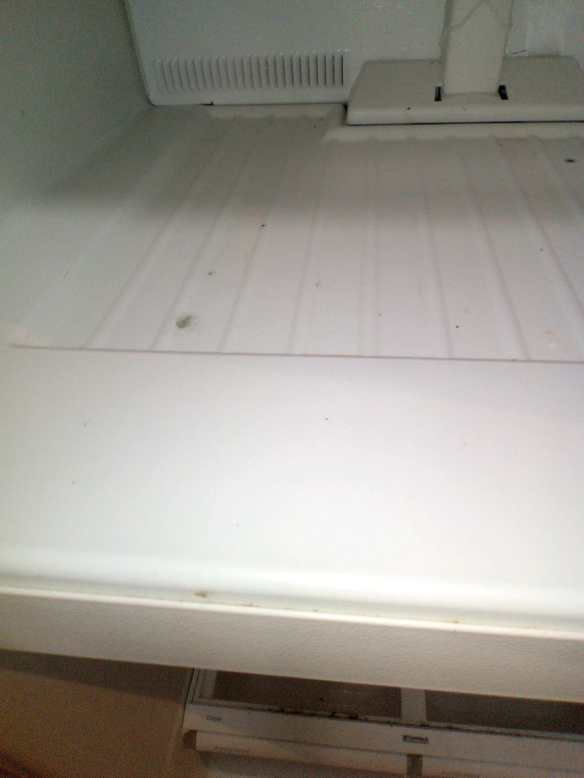 The inside of an empty refrigerator with a white shelf.