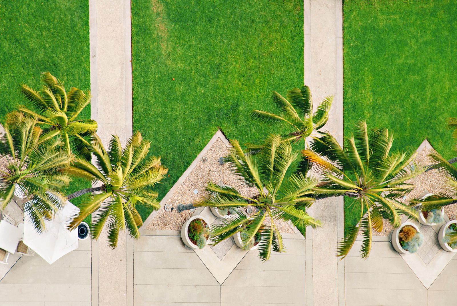 Aerial view of palm trees, green grass, and beige walkways.