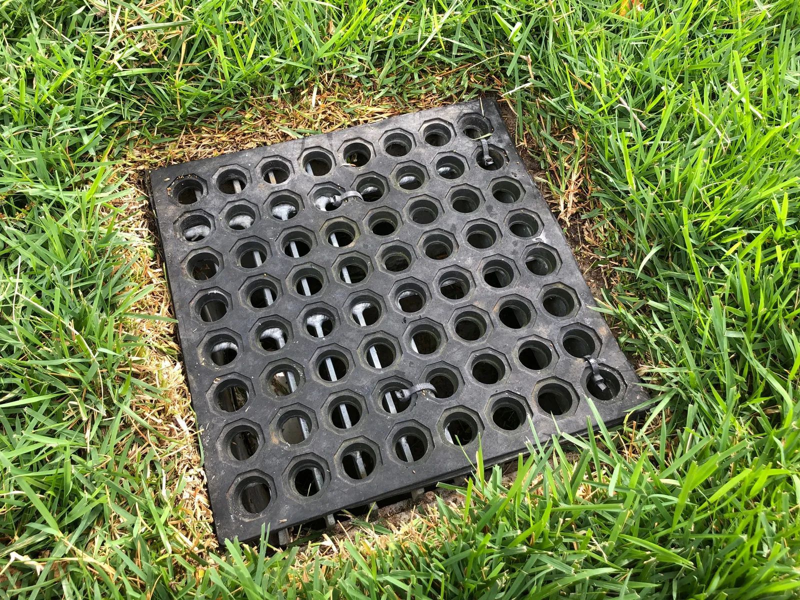 Square black drain grate set in grass, with a border of exposed soil around it