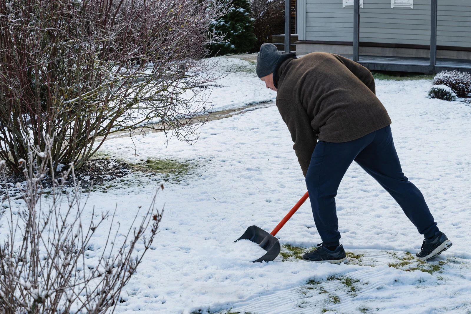 Person shoveling snow in a yard, wearing a hat and dark clothes, near bushes and a house.