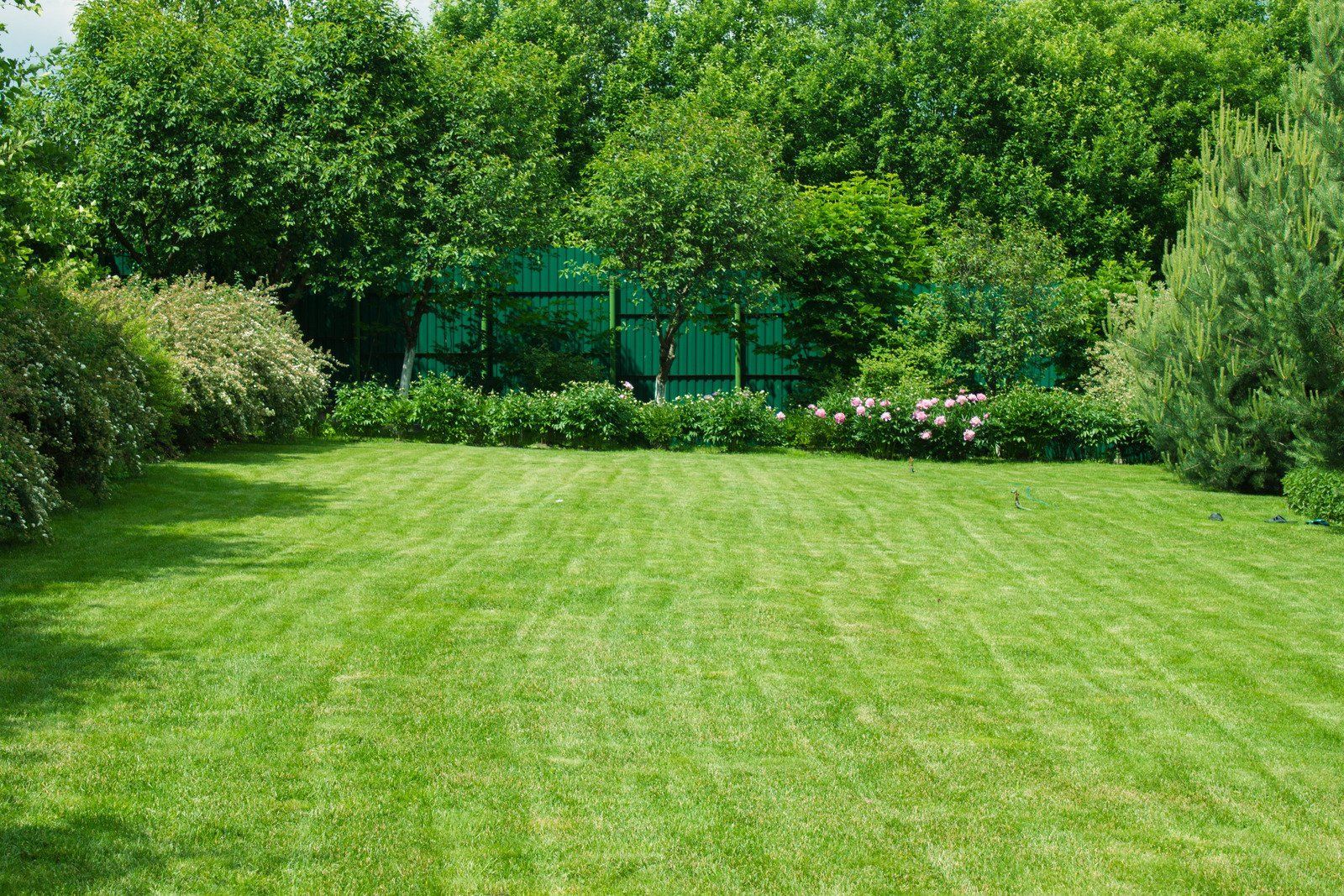 Lush green lawn with trimmed grass leads to a backdrop of various trees, bushes, and a green fence.