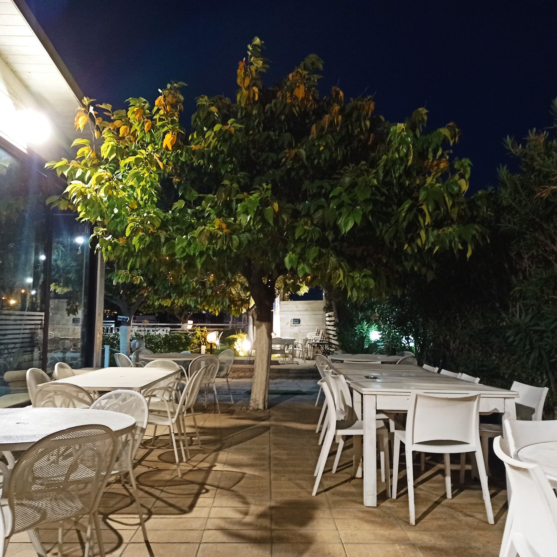 paninoteca a pochi passi dal mare