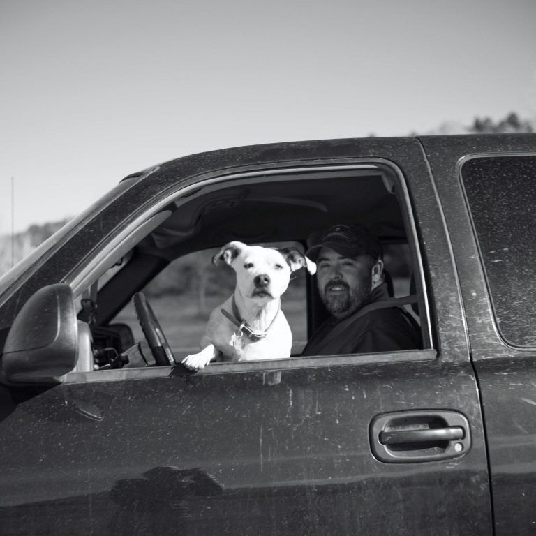 A man and a dog are sitting in a car