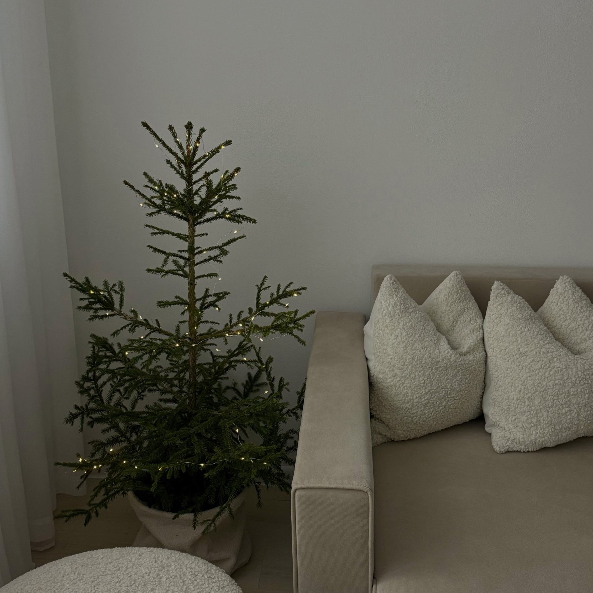 12 Days of Holiday Sleep Tips