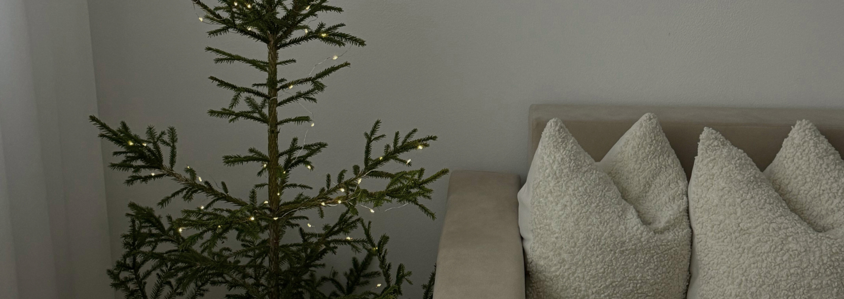 Rest Before the Rush