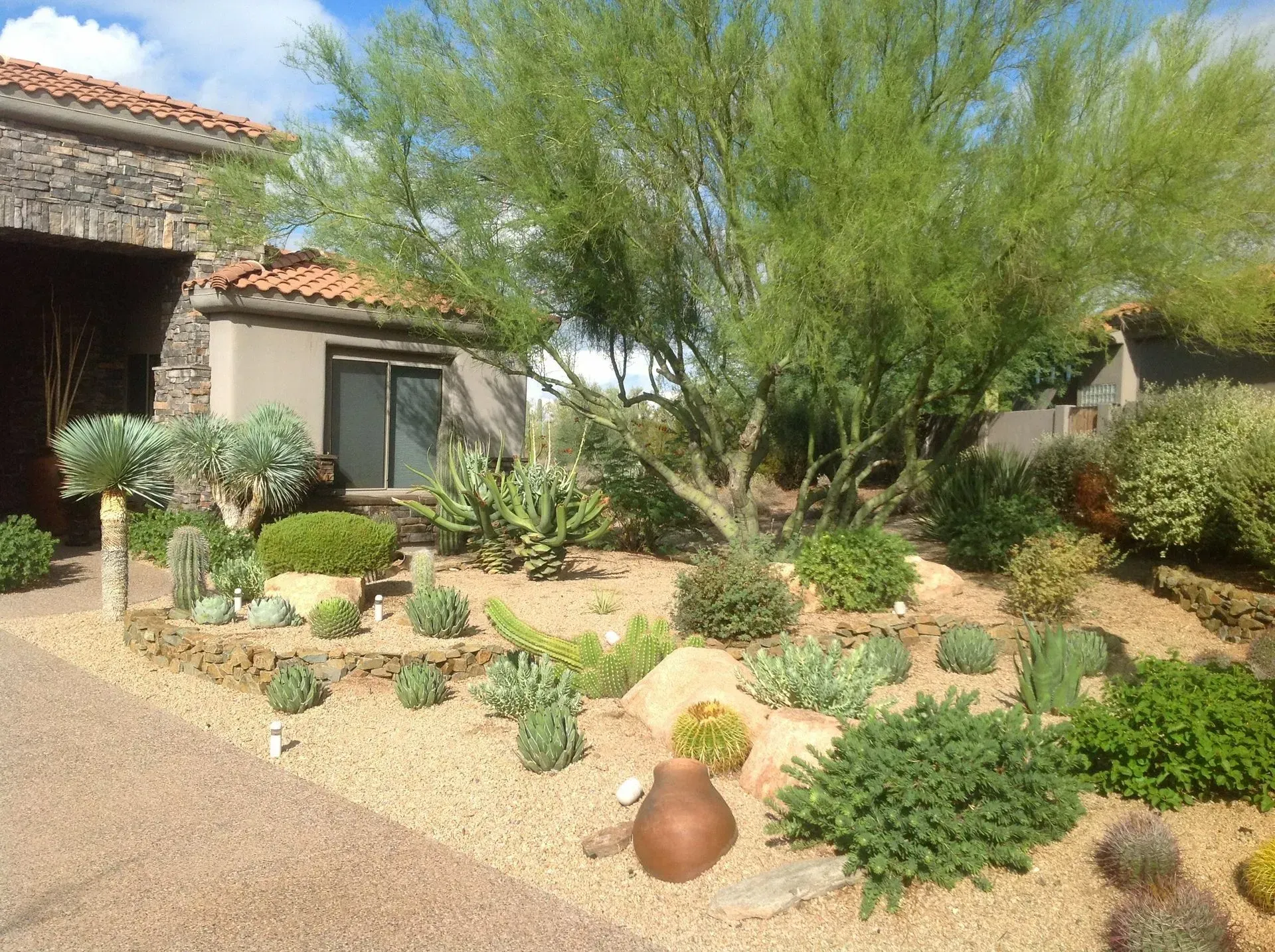 A house with a lot of plants in front of it
