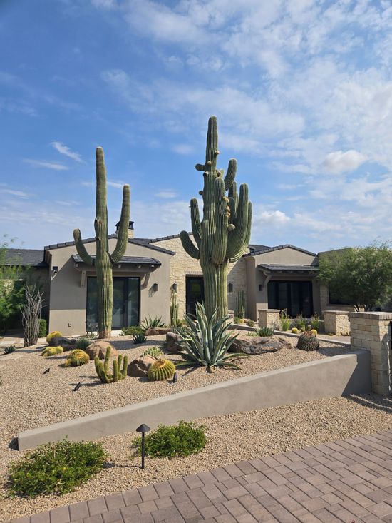 Desert Landscape in Scottsdale Arizona