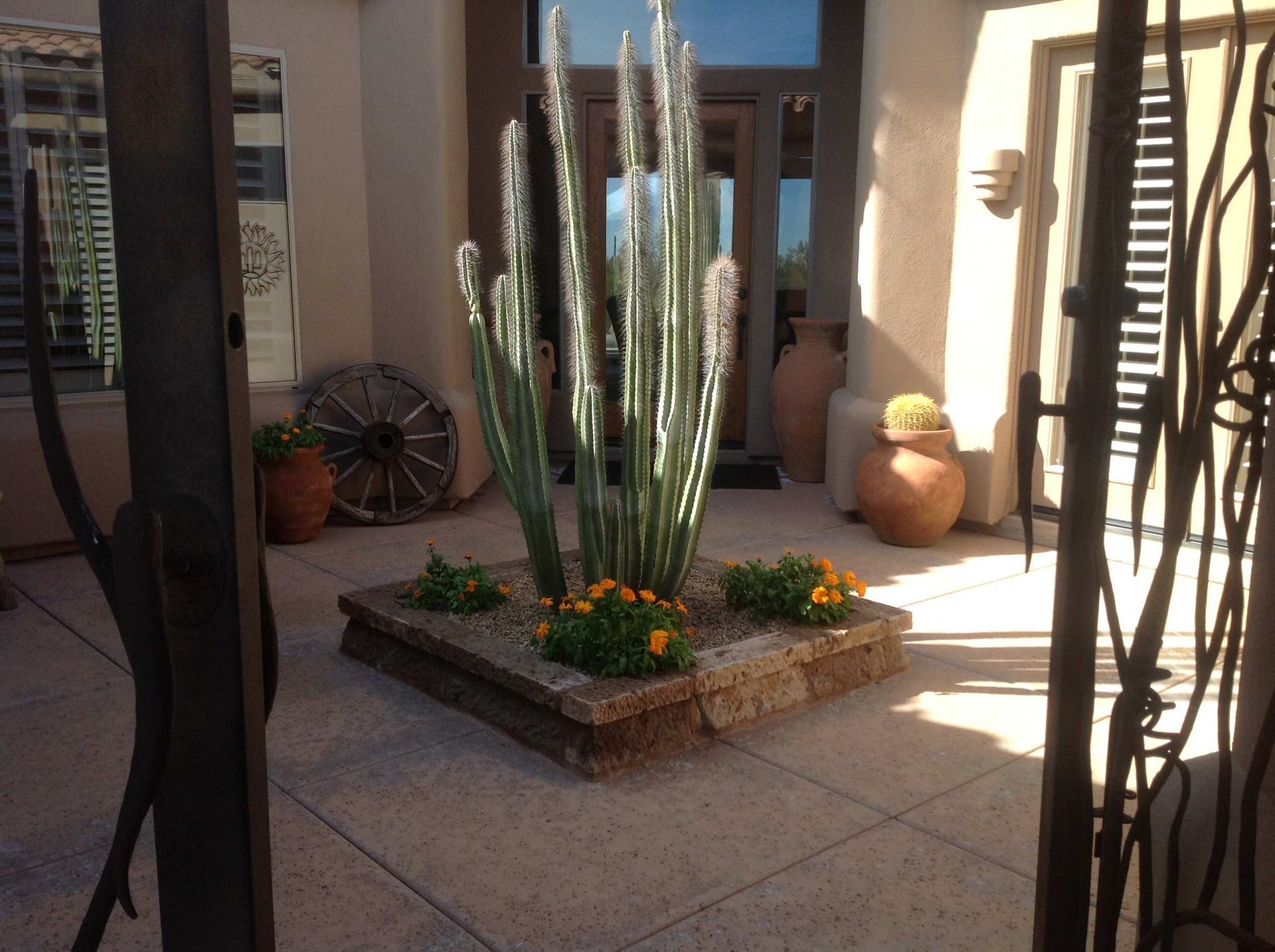 A garden with cactus and flowers in front of a house