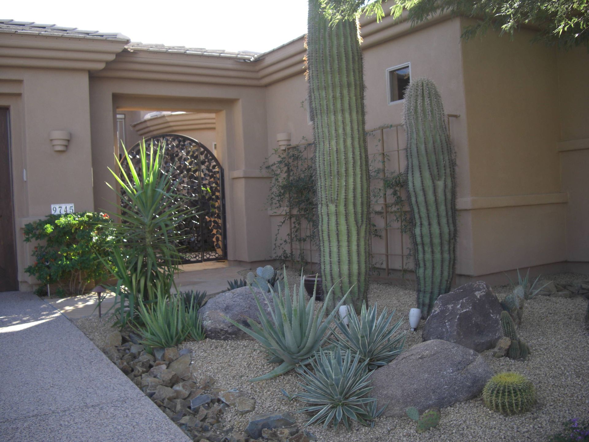 A house with a lot of cactus in front of it